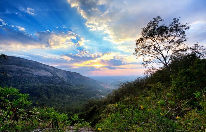 Nandi Hills