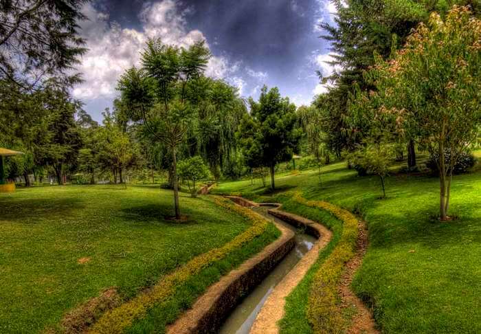Ooty