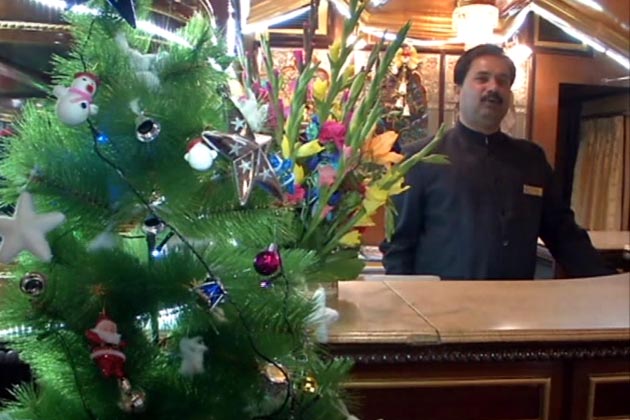 Christmas Tree - Palace on Wheels Train